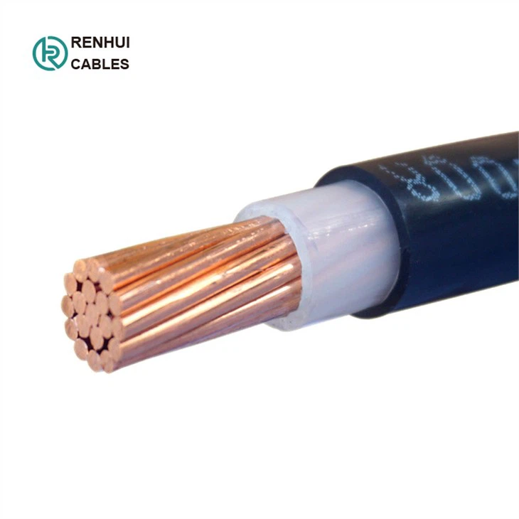 electric cable (170)